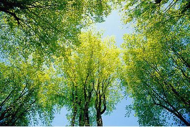 《亚利桑那阳光2》公布 年内登陆PSVR2和Steam